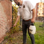 Insect control