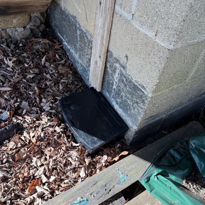 Rodent Control