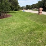 manicured ditch