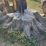 Stump grinding