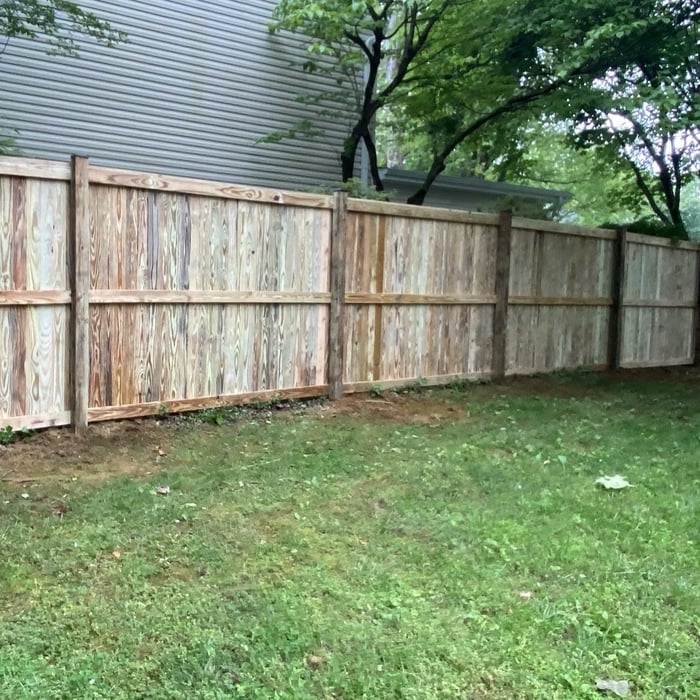 Inside of a pressure treated wood fence