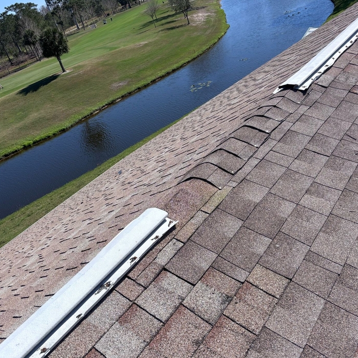 Chimney and Door Replacement