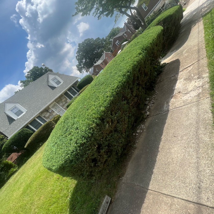 Additional Photos