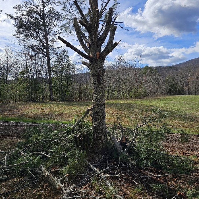 Additional Photos