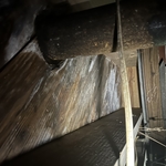 Mold Remediation Project
