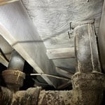 Mold Remediation Project