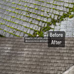 Roof Cleaning Project