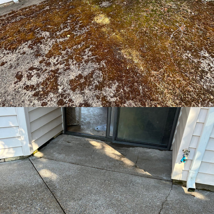 Additional Photos