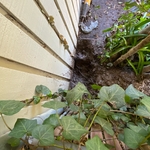 Root control