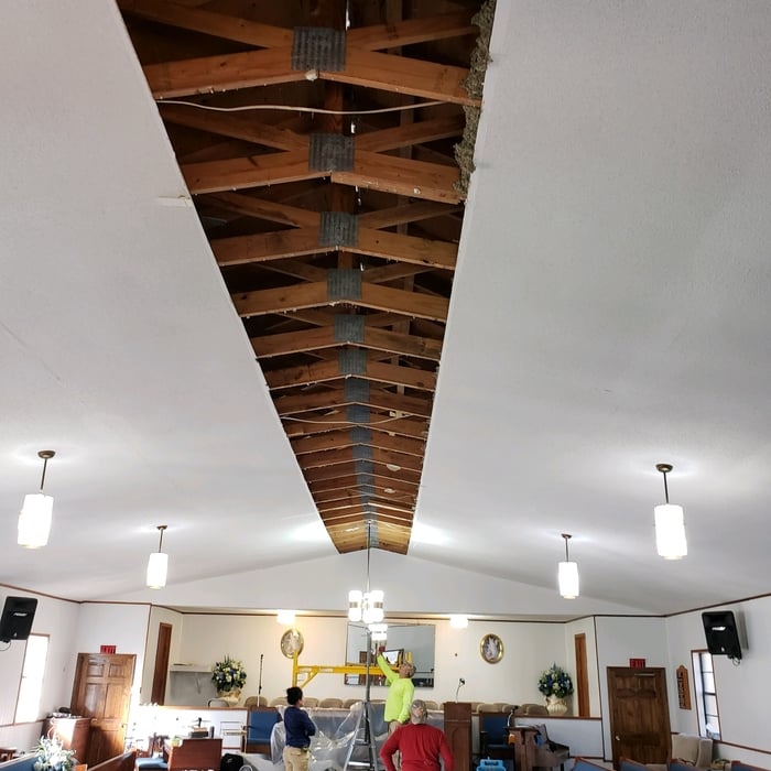 Mold Remediation Project