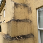 Corrosive Mold Removal !
