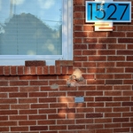 Masonry Project