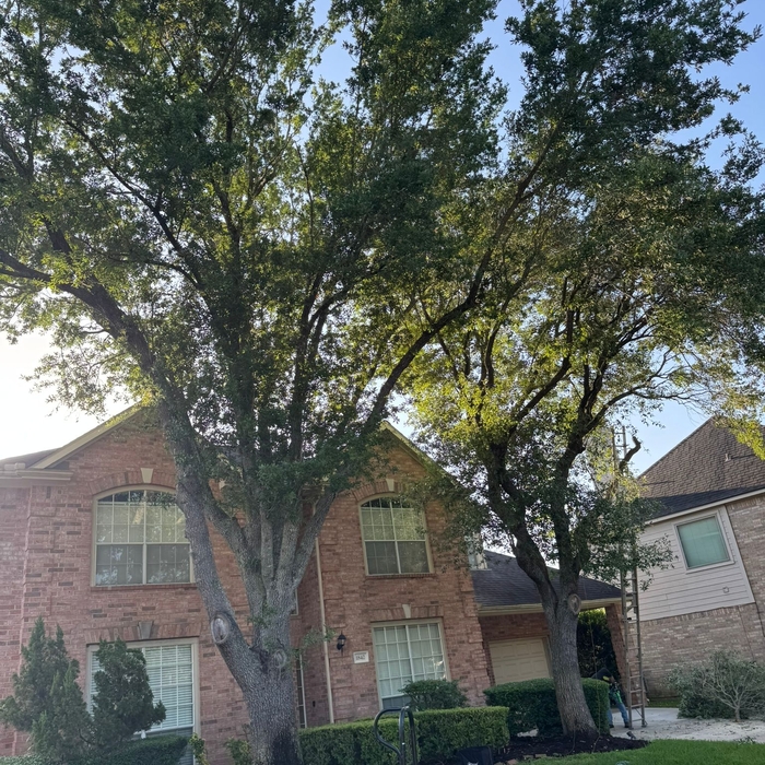 Additional Photos