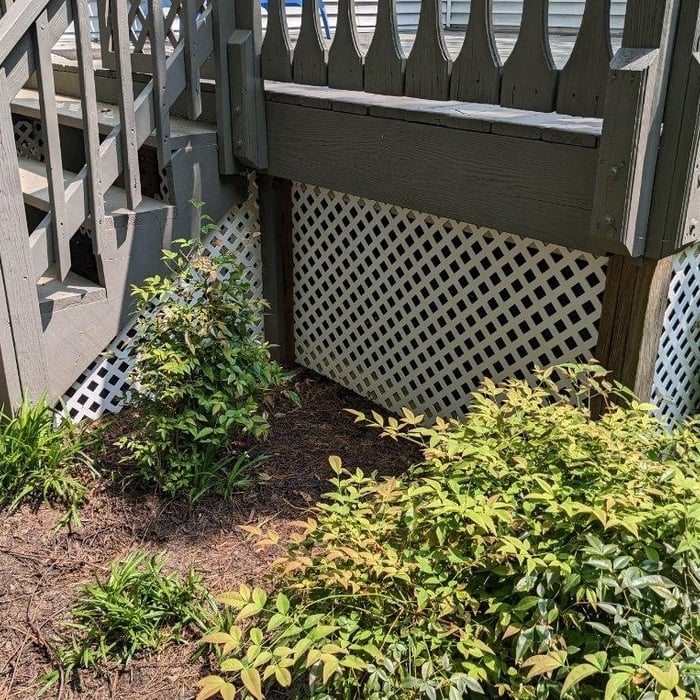 Lattice work and deck maibtenance