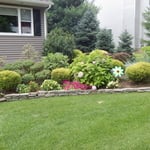 Walk Way Plantings