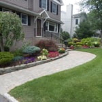 Walk Way Plantings