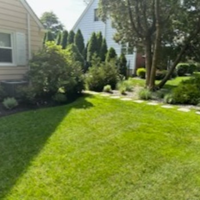 Distinctive Stepping Stones and Plantings