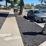 Vegetation removal & application of herbicide.