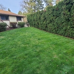 Landscaping Project
