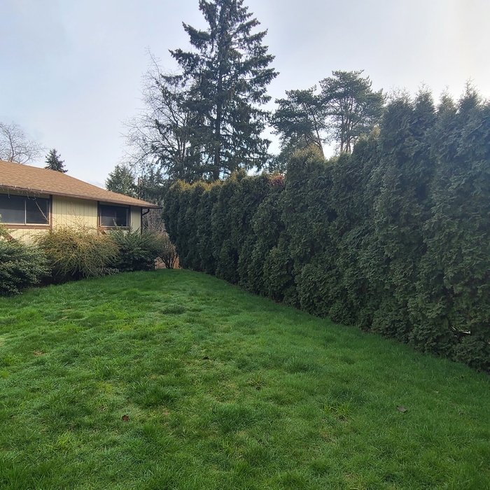 Landscaping Maintenance