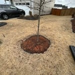 Landscaping Project