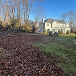 Landscaping Project