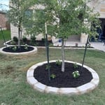 Tree ring stone border