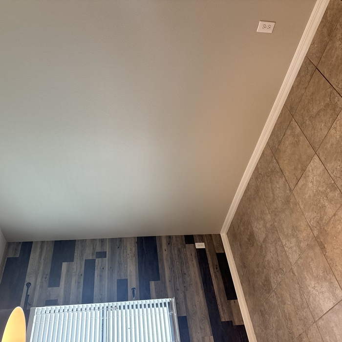 Interior Painting Project