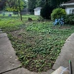Landscaping Project