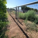 Horse fence