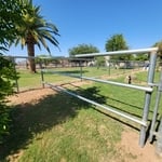 Horse fence