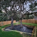 Root collar excavation