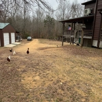Short creek driveway job