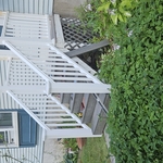 Front Pic