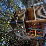 Tree House