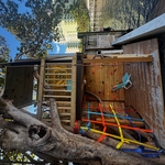 Tree House