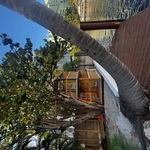 Tree House
