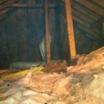 Attic Pre REmediation