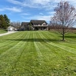 Mowing & Trimming - Dover