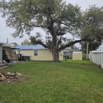 Tree Service Project