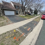 Driveways - Concrete Project