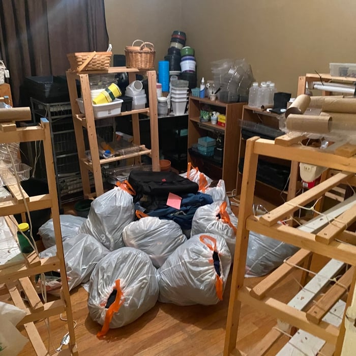 Home Cleanout in Wales
