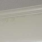 Mold Growth