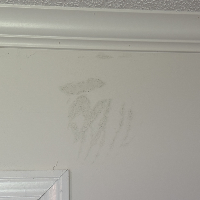 Mold Growth