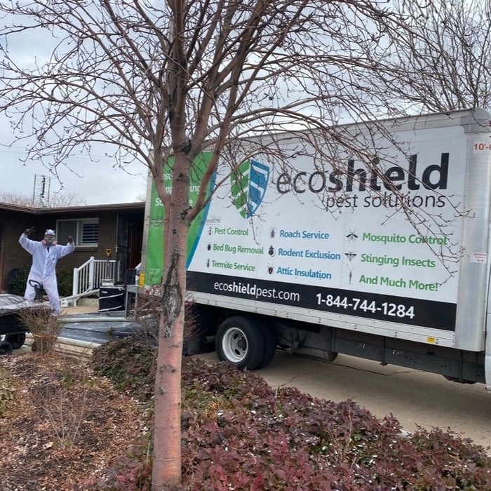 Insulation Shield