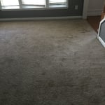 Carpet Restoration