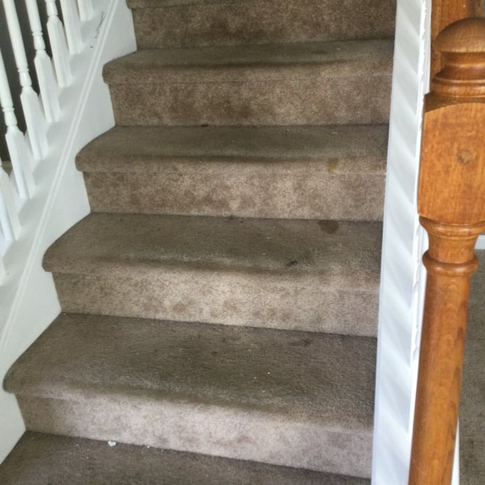 Carpet Restoration