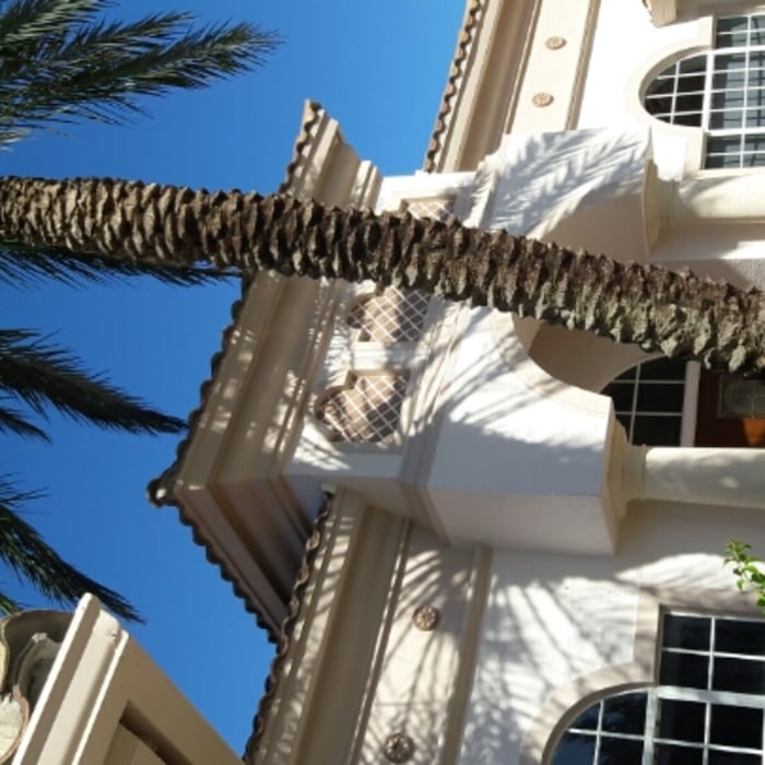 Additional Photos