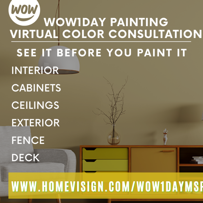 Virtual Color Consultations