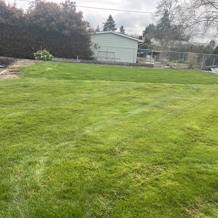 Additional Photos